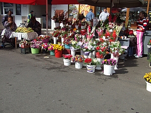 2013_nagyvarad_piac_031.JPG
