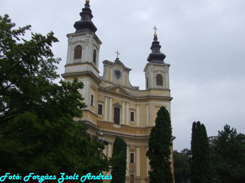 2013_szent_laszlo_bazilika__010.JPG