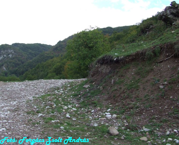 2013_sighitei_barlang__017.JPG