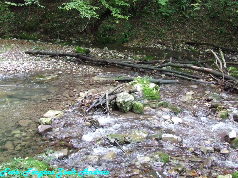 2013_sighitei_barlang__040.JPG