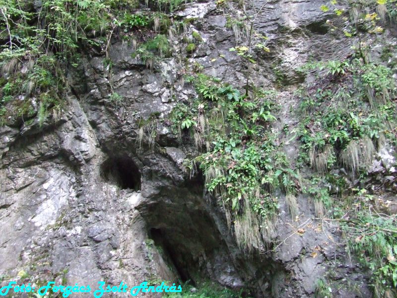 2013_sighitei_barlang__056.JPG