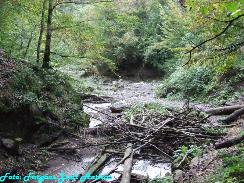 2013_sighitei_barlang__059.JPG