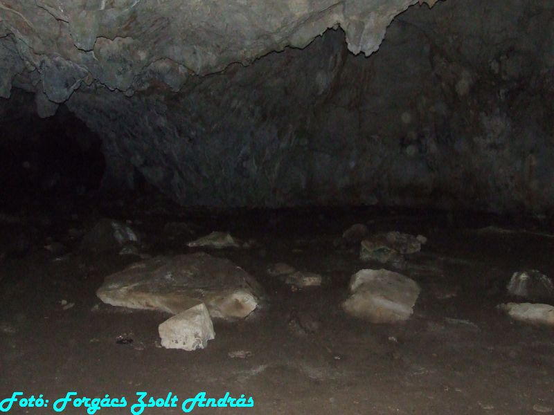2013_sighitei_barlang__081.JPG