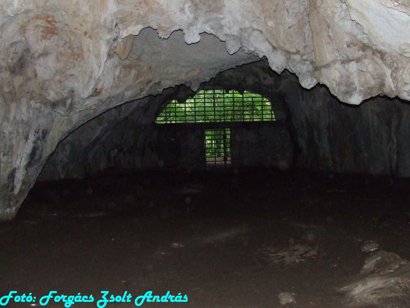 2013_sighitei_barlang__083.JPG