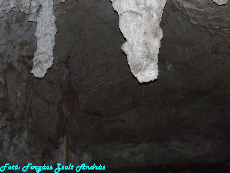 2013_sighitei_barlang__084.JPG