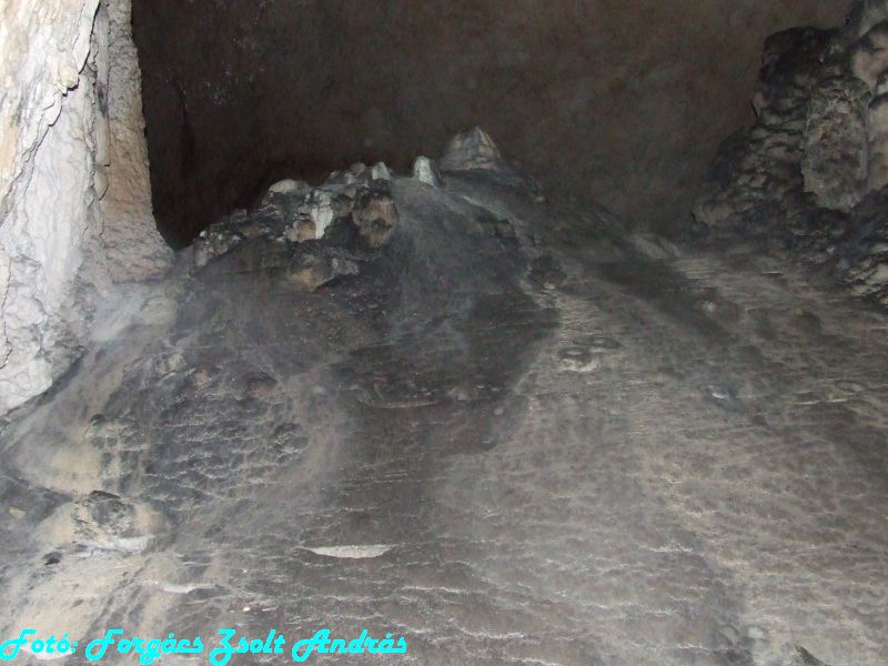 2013_sighitei_barlang__092.JPG