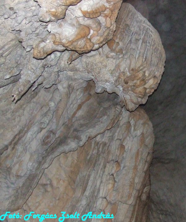 2013_sighitei_barlang__102.JPG