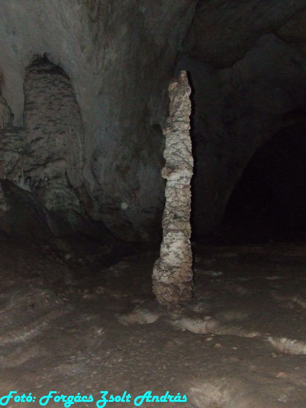 2013_sighitei_barlang__110.JPG