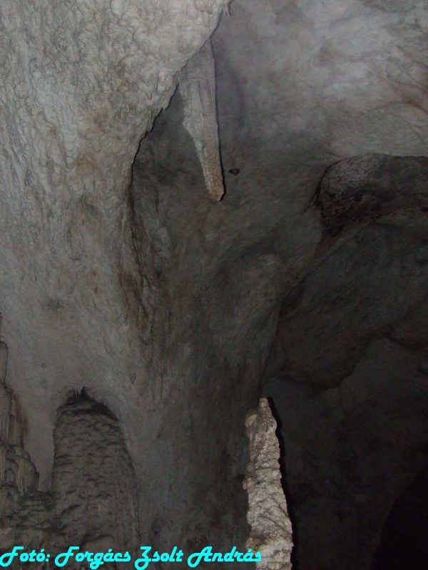 2013_sighitei_barlang__111.JPG