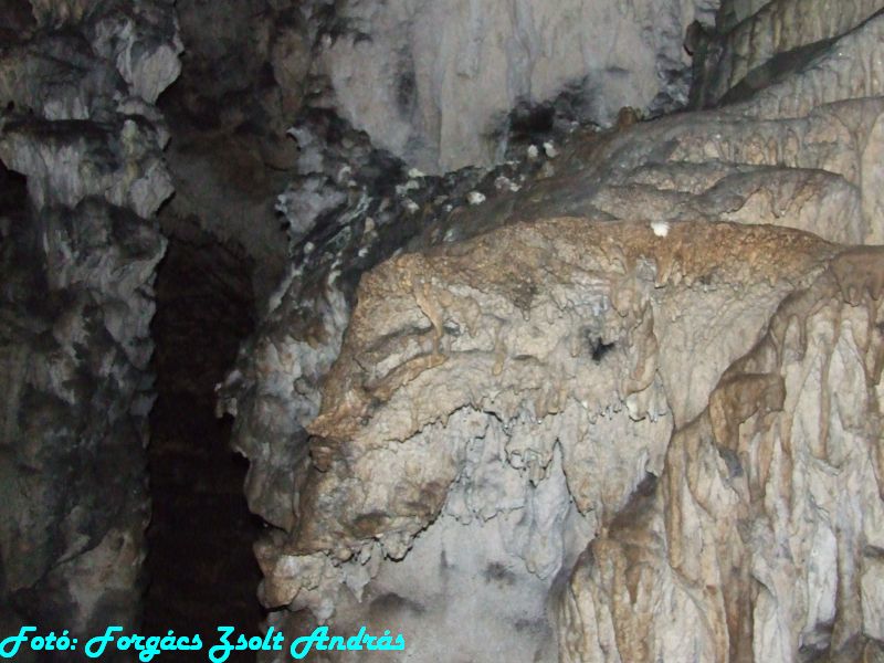 2013_sighitei_barlang__127.JPG