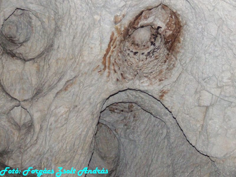 2013_sighitei_barlang__129.JPG