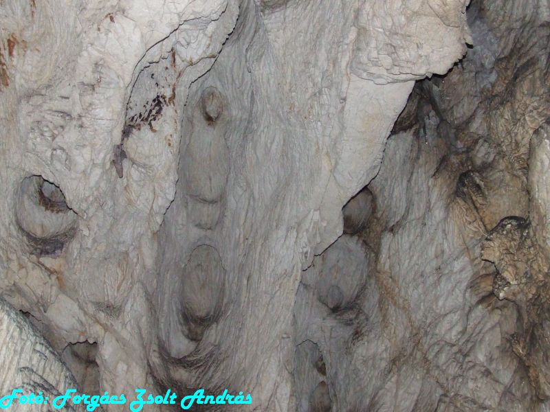 2013_sighitei_barlang__133.JPG