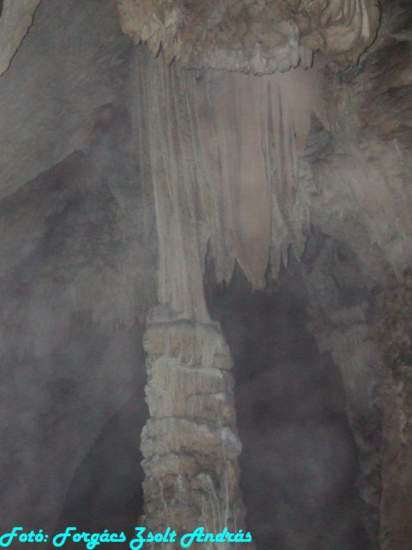 2013_sighitei_barlang__137.JPG