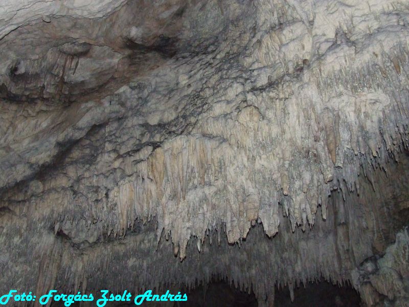 2013_sighitei_barlang__139.JPG