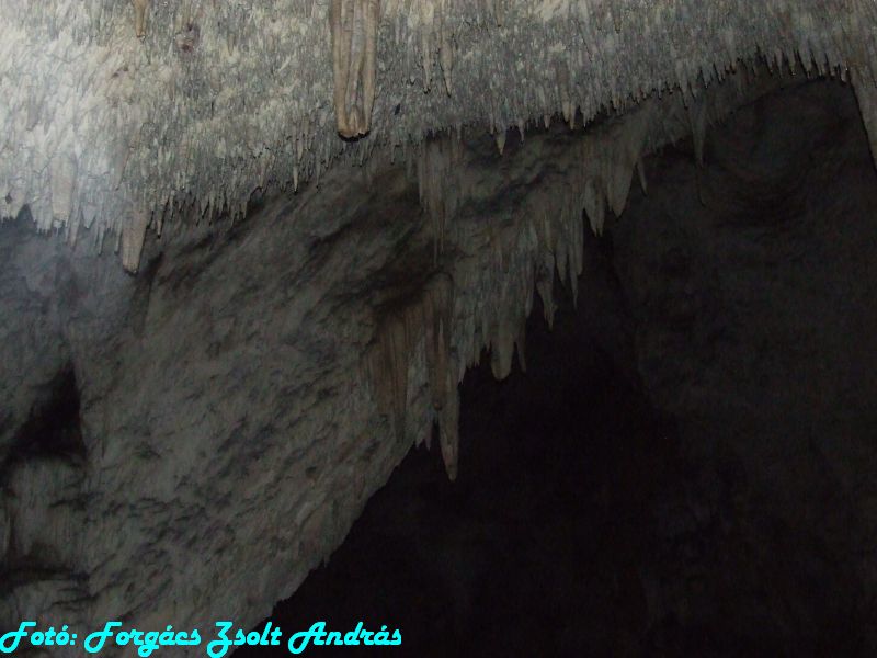 2013_sighitei_barlang__141.JPG