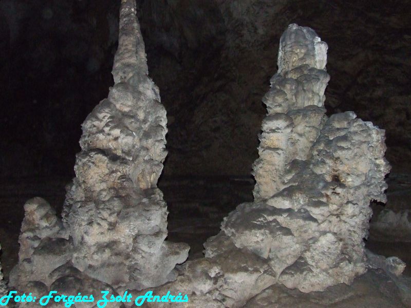 2013_sighitei_barlang__148.JPG