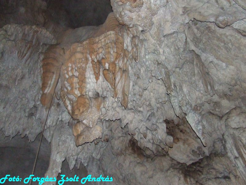 2013_sighitei_barlang__159.JPG