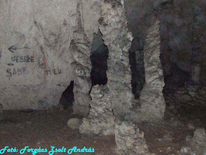 2013_sighitei_barlang__166.JPG