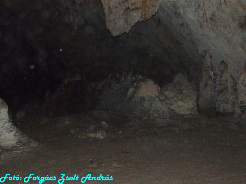 2013_sighitei_barlang__167.JPG