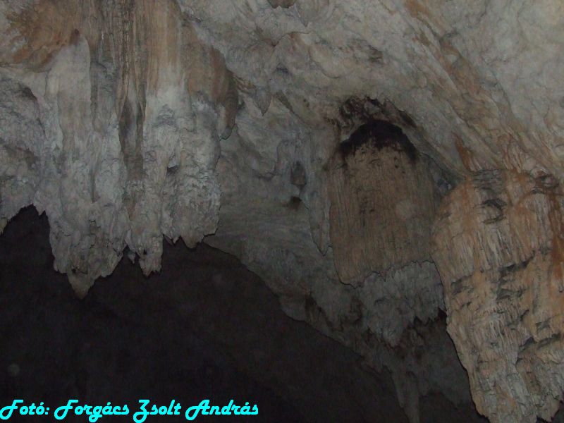 2013_sighitei_barlang__168.JPG