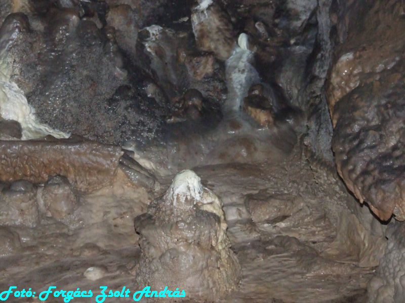 2013_sighitei_barlang__189.JPG