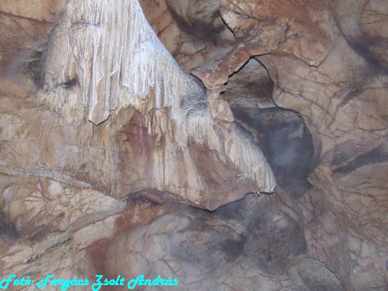 2013_sighitei_barlang__193.JPG