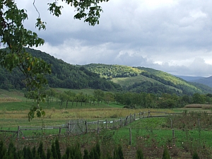 2013_sighitei_barlang__002.JPG 2013_sighitei_barlang__002.JPG