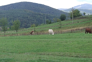 2013_sighitei_barlang__005.JPG 2013_sighitei_barlang__005.JPG