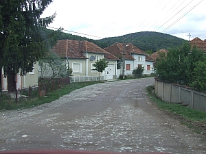 2013_sighitei_barlang__009.JPG 2013_sighitei_barlang__009.JPG