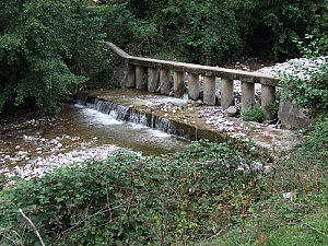 2013_sighitei_barlang__020.JPG 2013_sighitei_barlang__020.JPG