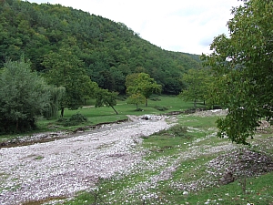 2013_sighitei_barlang__023.JPG 2013_sighitei_barlang__023.JPG
