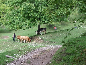 2013_sighitei_barlang__025.JPG 2013_sighitei_barlang__025.JPG