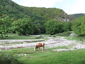 2013_sighitei_barlang__026.JPG 2013_sighitei_barlang__026.JPG