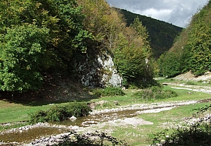 2013_sighitei_barlang__032.JPG