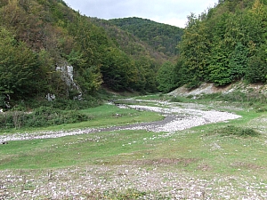 2013_sighitei_barlang__034.JPG