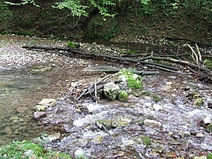 2013_sighitei_barlang__040.JPG 2013_sighitei_barlang__040.JPG