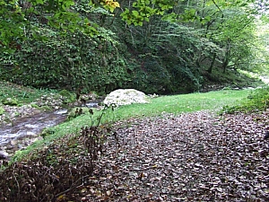 2013_sighitei_barlang__041.JPG 2013_sighitei_barlang__041.JPG