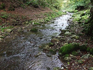2013_sighitei_barlang__042.JPG 2013_sighitei_barlang__042.JPG