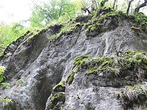 2013_sighitei_barlang__043.JPG 2013_sighitei_barlang__043.JPG