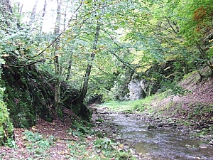 2013_sighitei_barlang__044.JPG 2013_sighitei_barlang__044.JPG