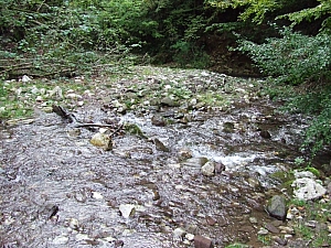 2013_sighitei_barlang__047.JPG 2013_sighitei_barlang__047.JPG