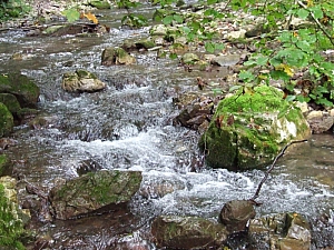 2013_sighitei_barlang__049.JPG 2013_sighitei_barlang__049.JPG