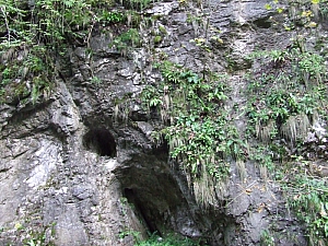 2013_sighitei_barlang__056.JPG 2013_sighitei_barlang__056.JPG