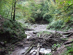 2013_sighitei_barlang__059.JPG 2013_sighitei_barlang__059.JPG