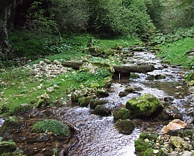 2013_sighitei_barlang__064.JPG 2013_sighitei_barlang__064.JPG