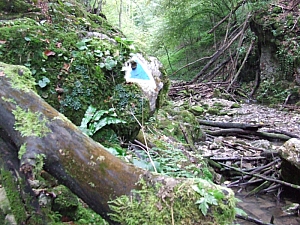 2013_sighitei_barlang__070.JPG 2013_sighitei_barlang__070.JPG