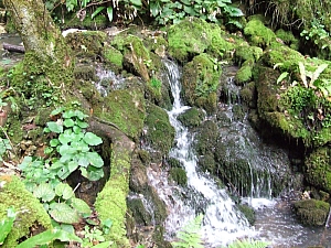 2013_sighitei_barlang__071.JPG 2013_sighitei_barlang__071.JPG