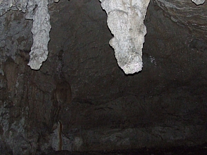 2013_sighitei_barlang__084.JPG 2013_sighitei_barlang__084.JPG