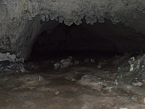 2013_sighitei_barlang__088.JPG 2013_sighitei_barlang__088.JPG
