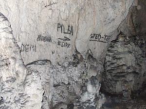 2013_sighitei_barlang__093.JPG 2013_sighitei_barlang__093.JPG